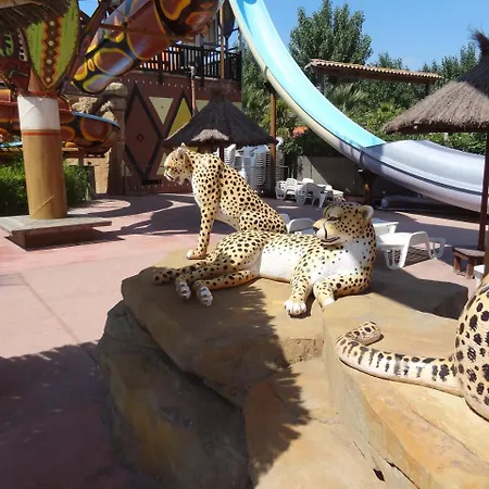 Camping & Cap Soleil